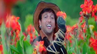 Thehro To Sahi Socho To ZaraMaharaja 1998 Full Video Song Govinda Manisha Koirala [upl. by Akere]