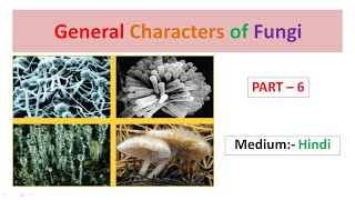 General Characters of Fungi Part6 Hindi [upl. by Aneehsor210]