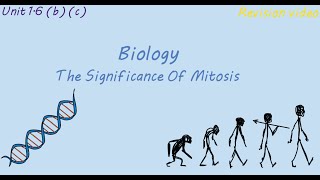 B1 The Significance Of Mitosis 16 b c [upl. by Aniarrol]