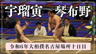 宇瑠寅うるとらvs琴布野ことふの【令和6年名古屋場所十日目】 [upl. by Leilani]