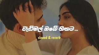 වැඩිමල් ඔබේ හිතට  slowed amp reverb  ofyy slowedandreverb music [upl. by Atnahc451]