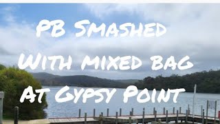 PB Smashed with mixed bag at Gypsy Point [upl. by Ijic167]