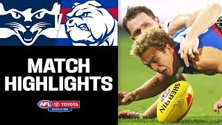 Geelong v Western Bulldogs Highlights  Round 9 2019  AFL [upl. by Aztiraj285]