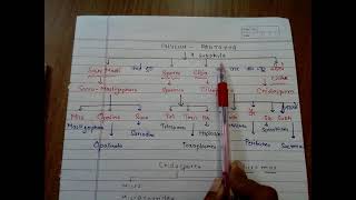 bsc 1 year zoologyphylum protozoa short tricks 👌 [upl. by Cottle584]