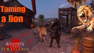 Assassin Creed Origins HOW TO TAME A LION 🦁 [upl. by Beltran]