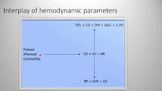 Hemodynamic monitoring children 1 [upl. by Atiek]