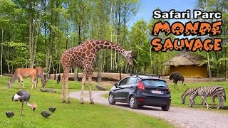 Safari Park Monde Sauvage  Belgium [upl. by Berthoud217]