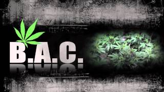 BAC Organic Grow  abono crecimiento cannabis [upl. by Au866]