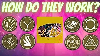 Breaking Down Every Warlock Exotic Class Item Perk [upl. by Marley]