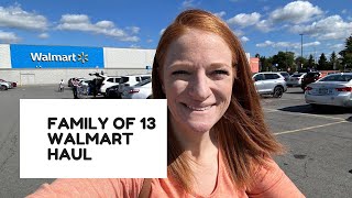 FAMILY OF 13 WALMART HAUL [upl. by Ylloj]