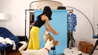 Using Dog Models to Capture New Photography Skills [upl. by Jania]