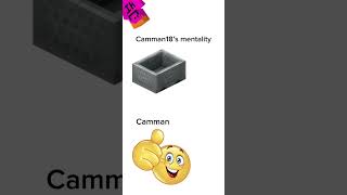 He hayes elytra camman minecraft memes [upl. by Ixel999]