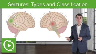 Seizures Types and Classification  Clinical Neurology [upl. by Ecnerol820]