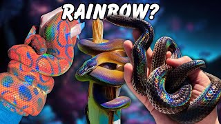 Amazing RAINBOW SNAKES And the Science behind Them [upl. by Ahmad]