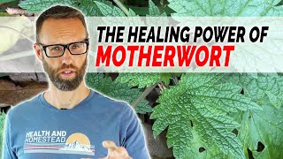 Motherworts Impact on Mental and Physical Health [upl. by Beatty858]