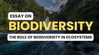 BiodiversityThe Role of Biodiversity in Ecosystems  Essay [upl. by Klarika740]