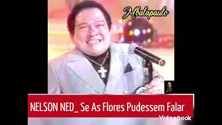 Legendado em Português e Kimbundu Nelson Ned Se As Flores Pudessem Falar Mbalapaulo [upl. by Langsdon]