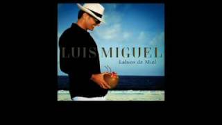 Luis Miguel  Labios de Miel Sencillo Oficial con Letra [upl. by Resay912]