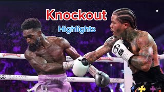 Gervonta Tank Davis vs Frank Martin  Highlights [upl. by Nylaroc]