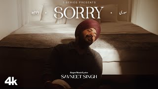 Sorry Visualizer Savneet Singh  New Hindi Song  TSeries [upl. by Acissehc]