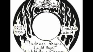 Wild Boys  Madness Reigns [upl. by Suoinuj]