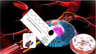 Paratireoide e Supra Renal [upl. by Nate]