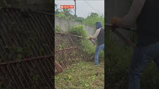 Unstoppable Lawn Mower vs Overgrown Grass mesinrumput babatrumput lawncarelawn subscribe [upl. by Eiramacissej]