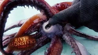 Rare Humboldt Squid Sprays Ink Everywhere  SQUID  River Monsters [upl. by Gnep]