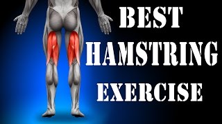 Best Hamstring Exercise [upl. by Nayd241]