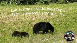 Epic Seattle to Alaska Road Trip II  Bears Bison and Signposts Oh My [upl. by Rumilly]