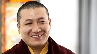 What is Buddhist meditation ► HH 17th Karmapa on how to meditate [upl. by Anairo]