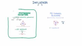 Influenza Treatment  Medications and Criteria for Treatment [upl. by Yelsek]