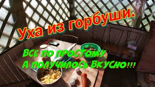 Уха из горбуши Все по простому а получилось вкусно [upl. by Readus]