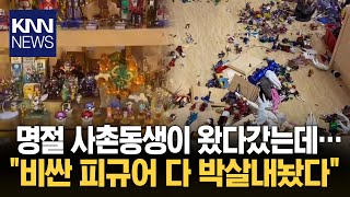 명절날 사촌동생 왔다갔더니 피규어 전부 박살  KNN [upl. by Yrred]