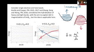 Quantum oscillations in the resistivity of an excitonic insulator [upl. by Dirk]