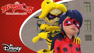 🤫 Podstęp  Miraculous Biedronka i Czarny Kot  Disney Channel Polska [upl. by Appilihp]