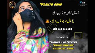 Za Che Zan Ta Zan Wayo  زا چی زان تہ زان وایو  Yo Bal Ta Janan wayo  slowed and reverb songs [upl. by Pulchia87]