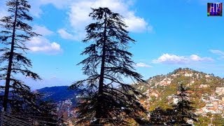 AMAZING SNOWY HILLS OF SHIMLA [upl. by Oria]