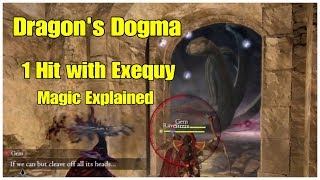 Dragons Dogma EXEQUY Easy Mode 1 Hit Enemies Magic Sorcerer [upl. by Ajna814]