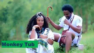 Sekota music Amharic Music Ethiopie [upl. by Lyndon]