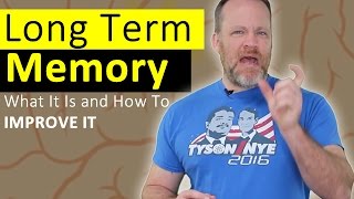 Long Term Memory  How To Improve it and What It Is [upl. by Hett]