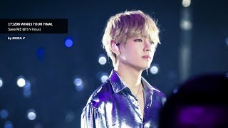 171208 Wings Tour Final  Save ME  BTS V  방탄소년단 뷔  직캠 [upl. by Lorna]