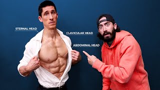 The ONLY 3 Chest Exercises You Need CHISELED PECS [upl. by Blanchette]