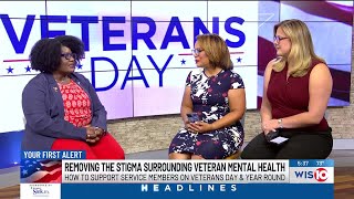 Removing the stigma surrounding veterans mental health [upl. by Llerrit493]