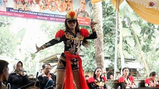 SENGGOT❗Tari Dolalak Putri Paling Asik [upl. by Orel]