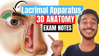 lacrimal apparatus anatomy 3d  anatomy of lacrimal apparatus  lacrimal gland anatomy [upl. by Russon]