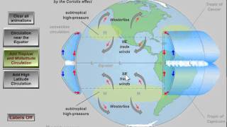 Global Atmospheric Circulation [upl. by Assille]