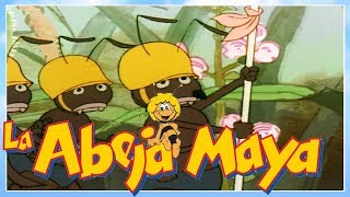 👉La abeja Maya  episodio 4  maya y el ciampieo jeronimo  capitulos completos en español latino [upl. by Haiacim]