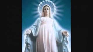 The 3 Hail Marys Morning Prayer [upl. by Ermanno]