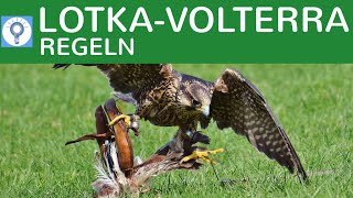 LotkaVolterraRegeln  RäuberBeuteBeziehung  Regulation von Populationen einfach erklärt 1 [upl. by Dillie]